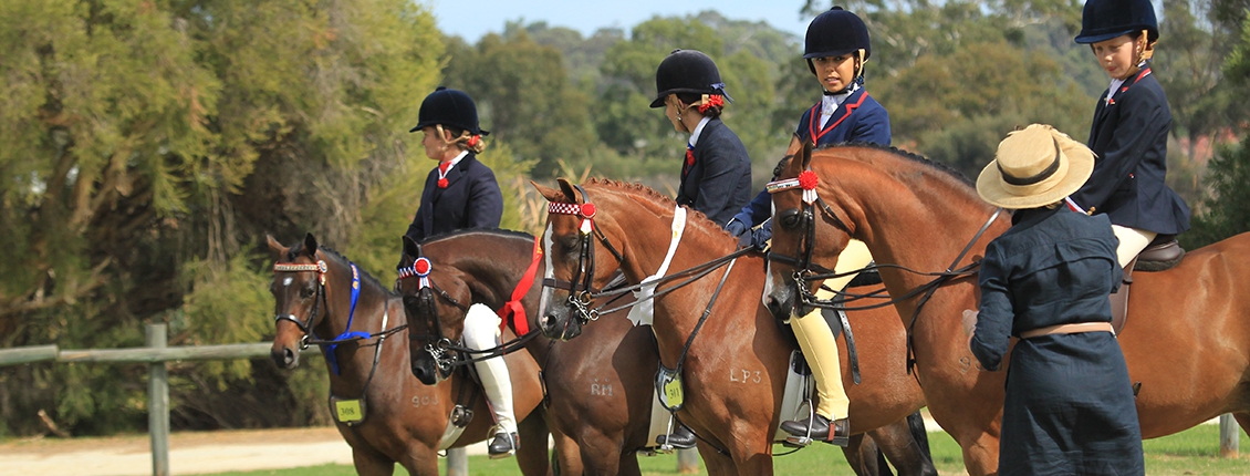 Albany Show Horse Classic | Equestrian Western Australia