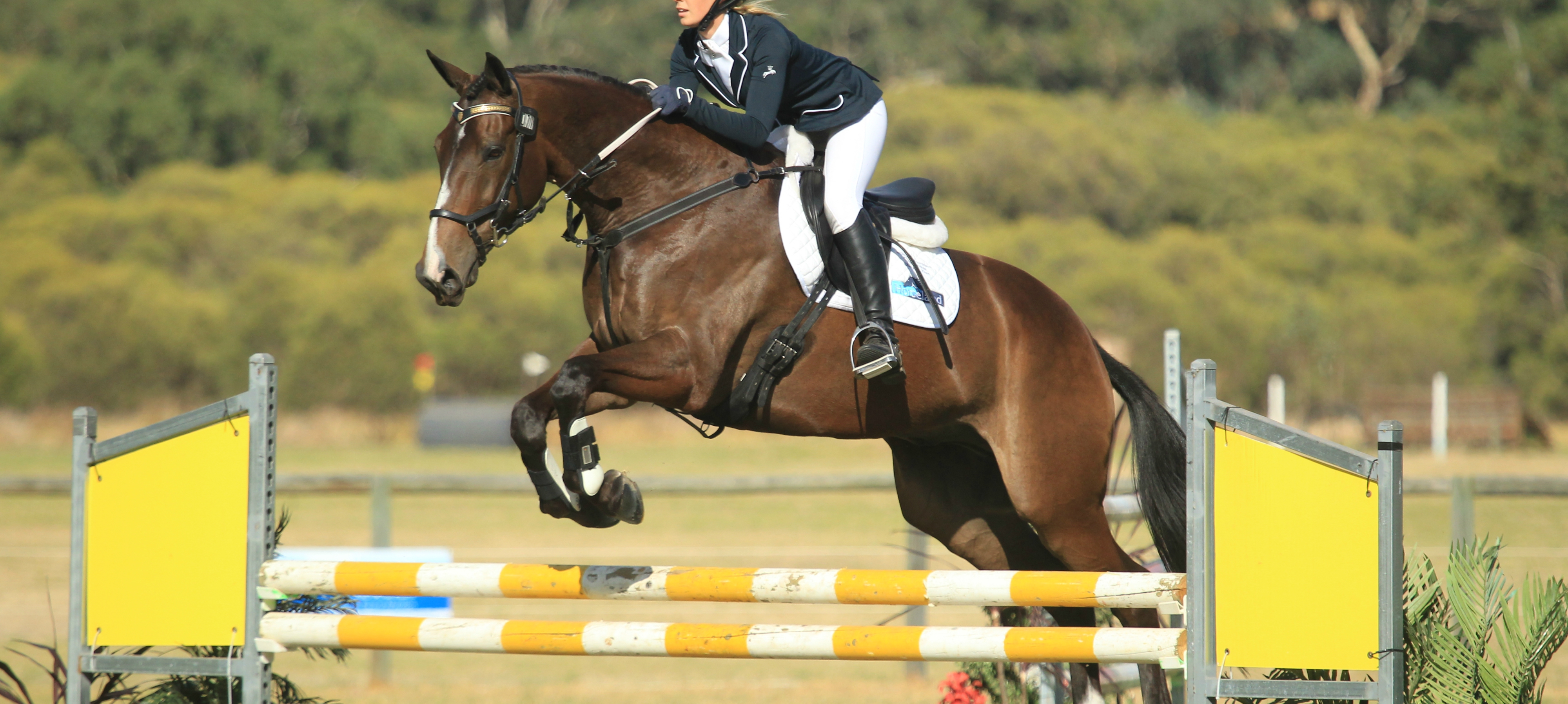 Taminga Jump Club Show Jumping | Equestrian Western Australia Taminga Jump Club Show Jumping | Equestrian Western Australia